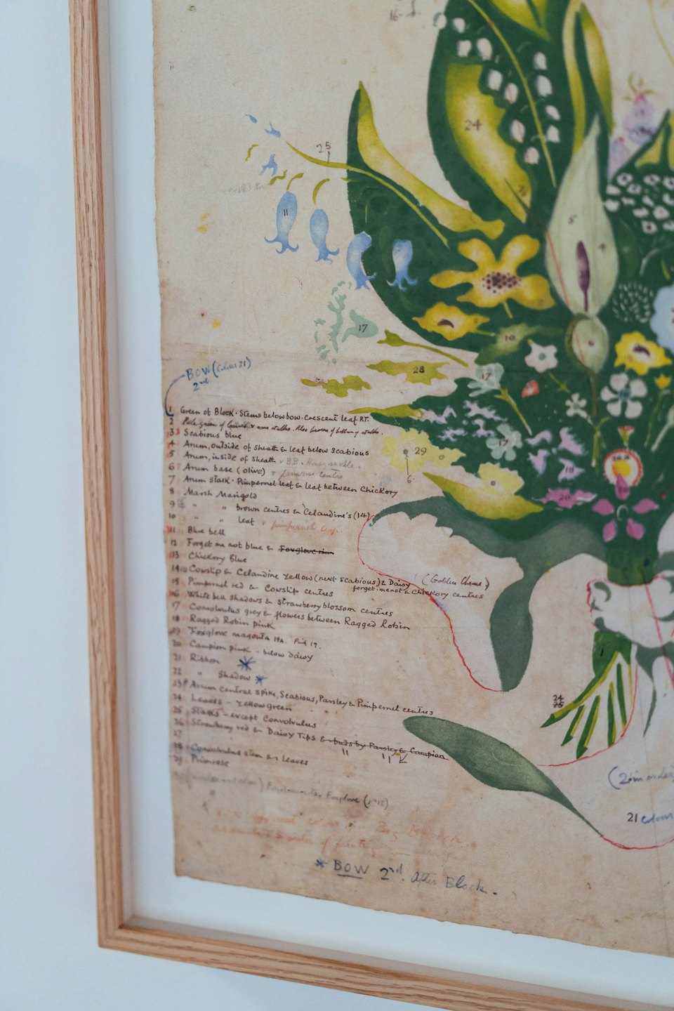 Botanical illustration with handwritten labels hangs on a wall.